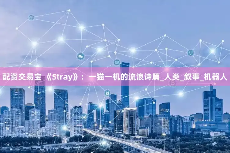 配资交易宝 《Stray》：一猫一机的流浪诗篇_人类_叙事_机器人