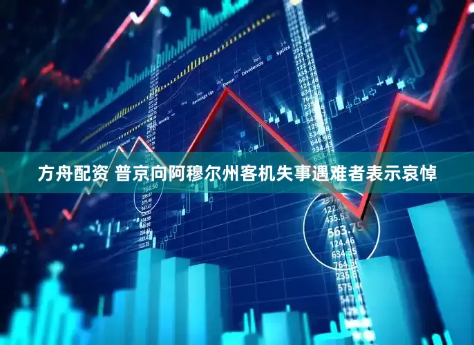 方舟配资 普京向阿穆尔州客机失事遇难者表示哀悼