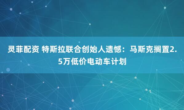 灵菲配资 特斯拉联合创始人遗憾：马斯克搁置2.5万低价电动车计划