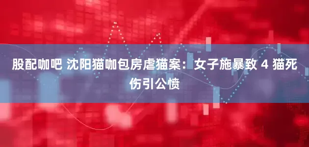 股配咖吧 沈阳猫咖包房虐猫案：女子施暴致 4 猫死伤引公愤
