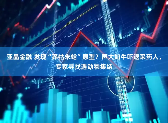 亚晶金融 发现“莽牯朱蛤”原型？声大如牛吓退采药人，专家寻找遇动物集结