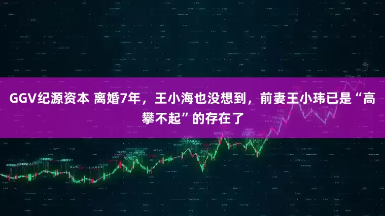 GGV纪源资本 离婚7年，王小海也没想到，前妻王小玮已是“高攀不起”的存在了