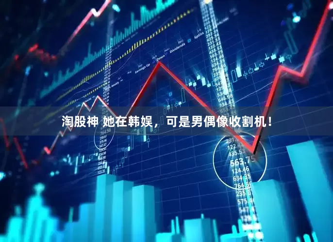 淘股神 她在韩娱，可是男偶像收割机！